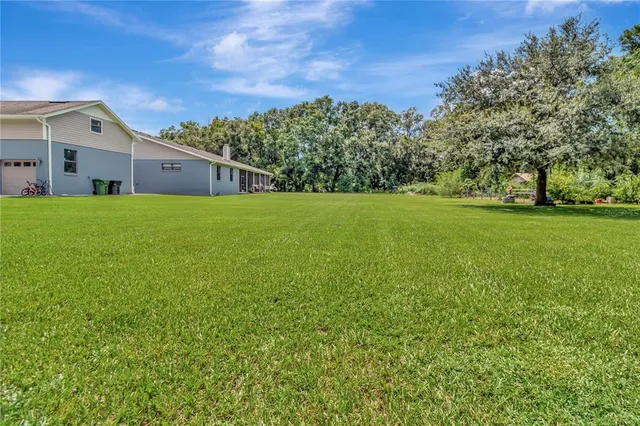 a view of a big yard with plants and large trees
