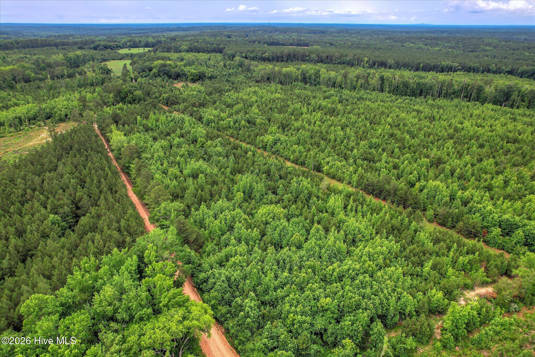 1908 Simons Road Thomson, GA 30824 - Photo 13 of 16