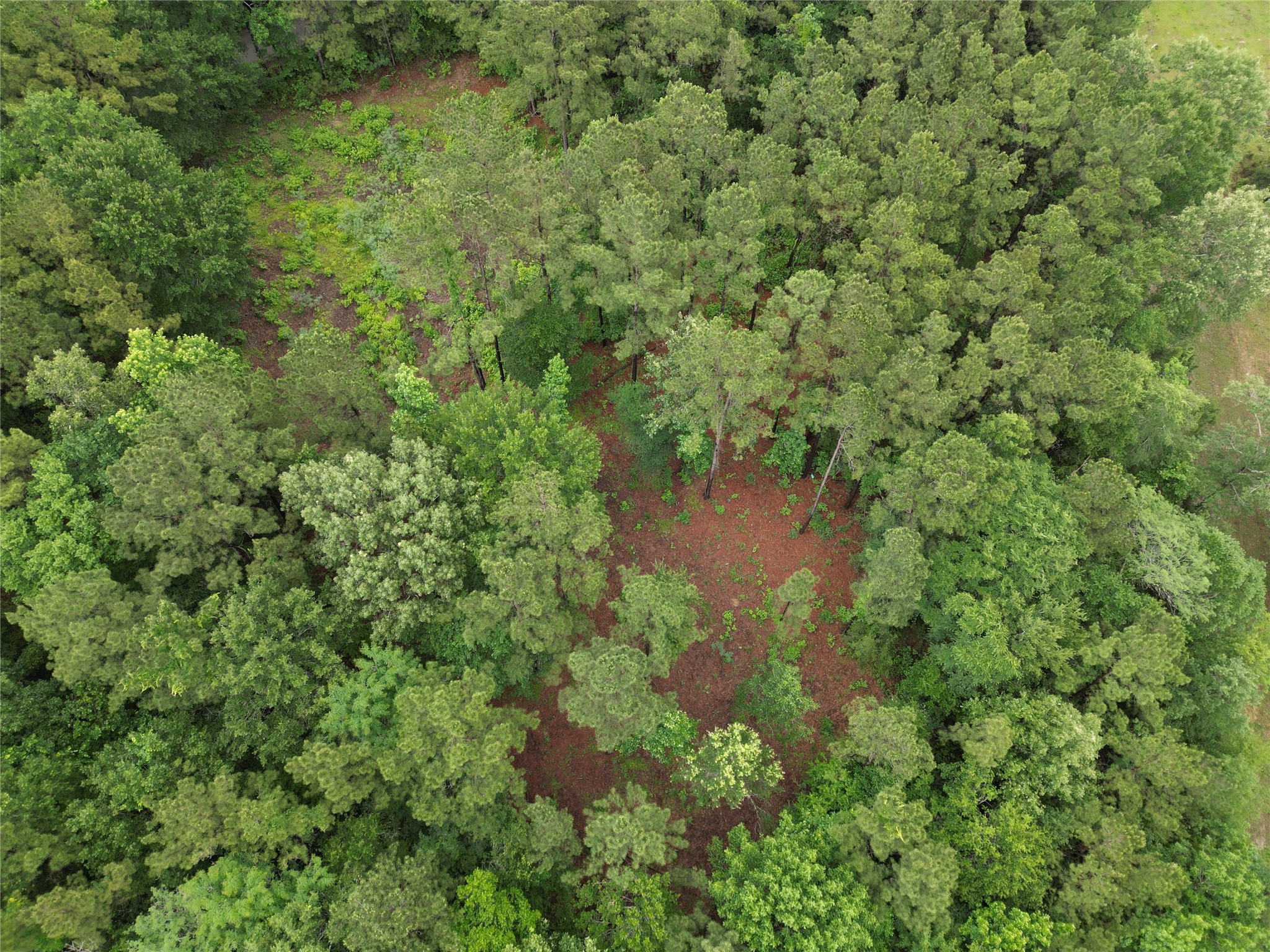 268 Cedar Valley Road Coldspring, TX 77331 - Photo 26 of 29