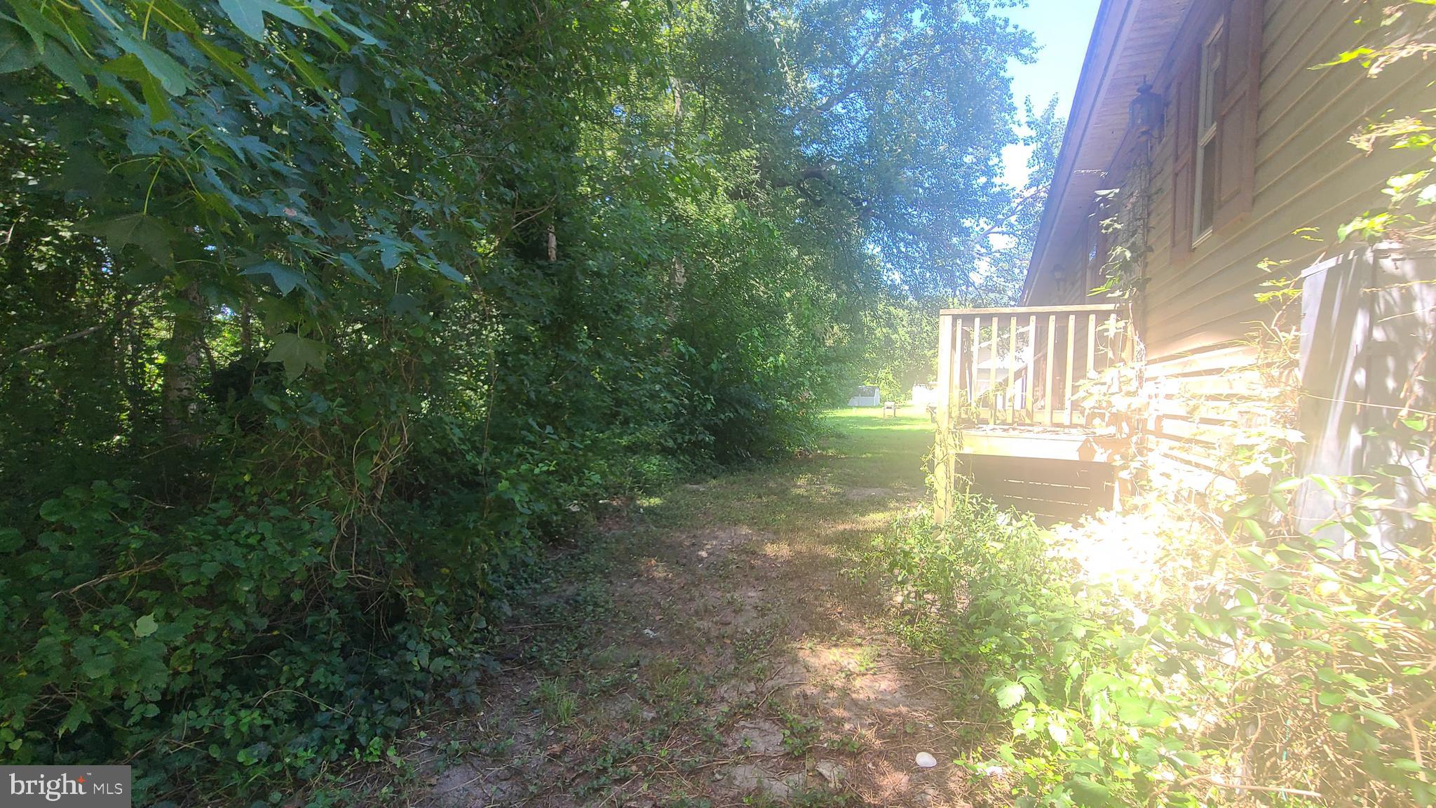 24734 Bethesda Road Georgetown, DE 19947 - Photo 9 of 11 Backyard