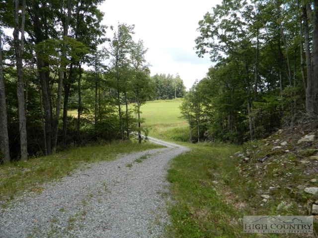 Lot 11 Worley Road Banner Elk, NC 28604 - Photo 6 of 7 Gallery Image 6