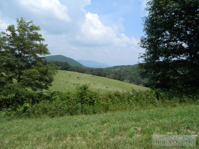 Lot 11 Worley Road Banner Elk, NC 28604 - Photo 7 of 7 Gallery Image 7