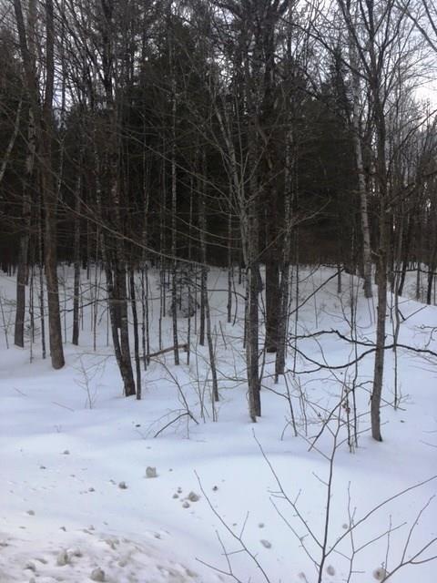Tbd Tbd North Road Harmony, ME 04942 - Photo 7 of 9 Photo