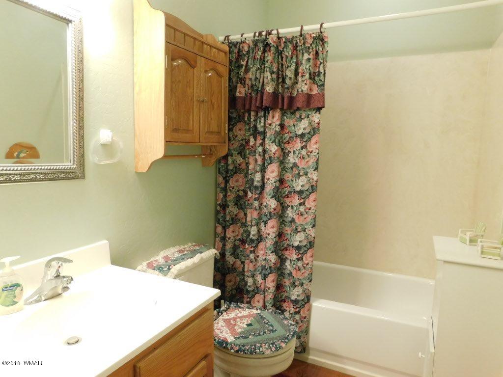2968 Monica Road Overgaard, AZ 85933 - Photo 24 of 29 a bathroom with a bathtub a sink and a shower curtain