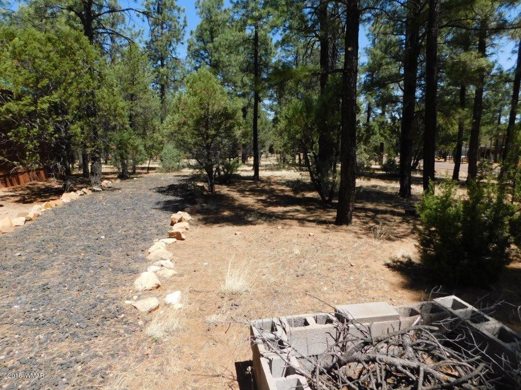 2968 Monica Road Overgaard, AZ 85933 - Photo 8 of 29 a view of a tree with yard