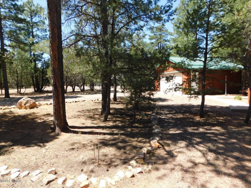 2968 Monica Road Overgaard, AZ 85933 - Photo 9 of 29 a view of a yard covered in snow