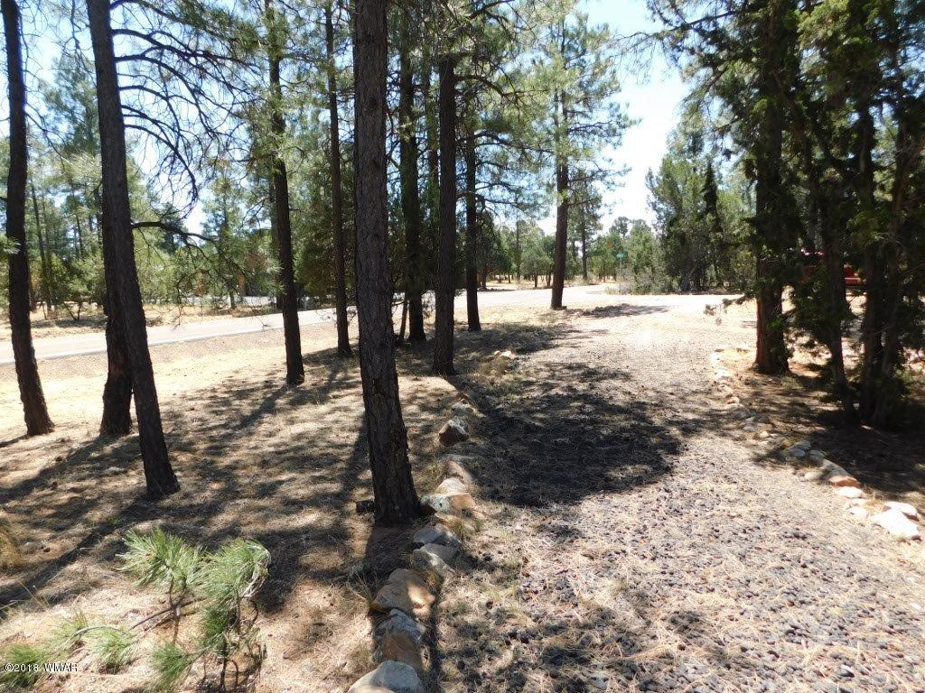2968 Monica Road Overgaard, AZ 85933 - Photo 10 of 29 a view of outdoor space with trees