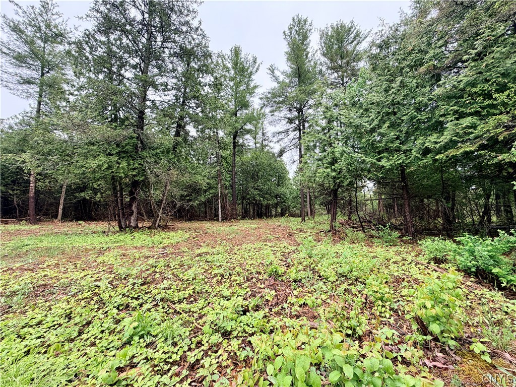 8 County Rte Cape Cape Vincent, NY 13618 - Photo 6 of 13
