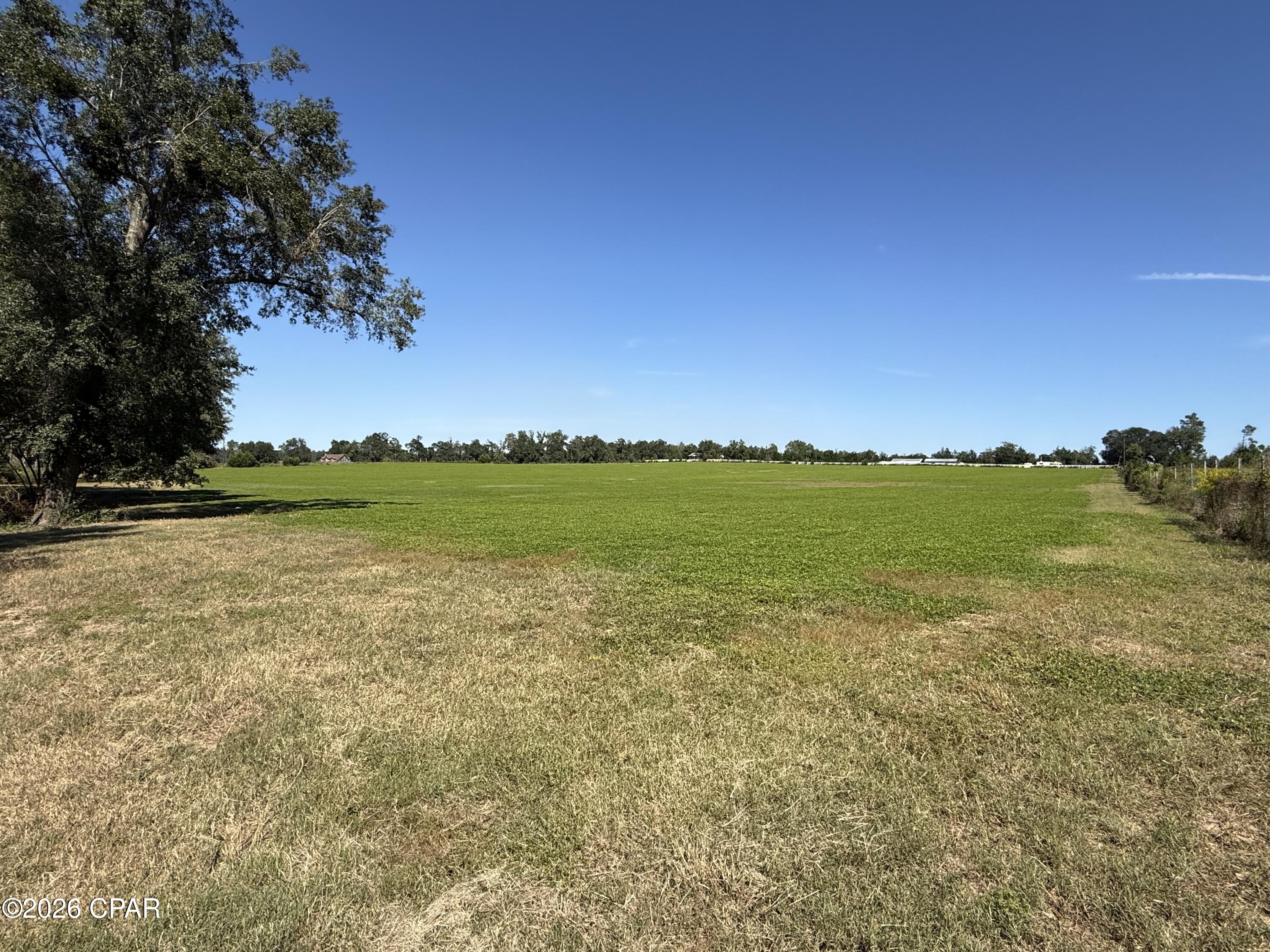 0 Dellwood Cypress Road Grand Ridge, FL 32442 - Photo 5 of 14 Gallery Image 5