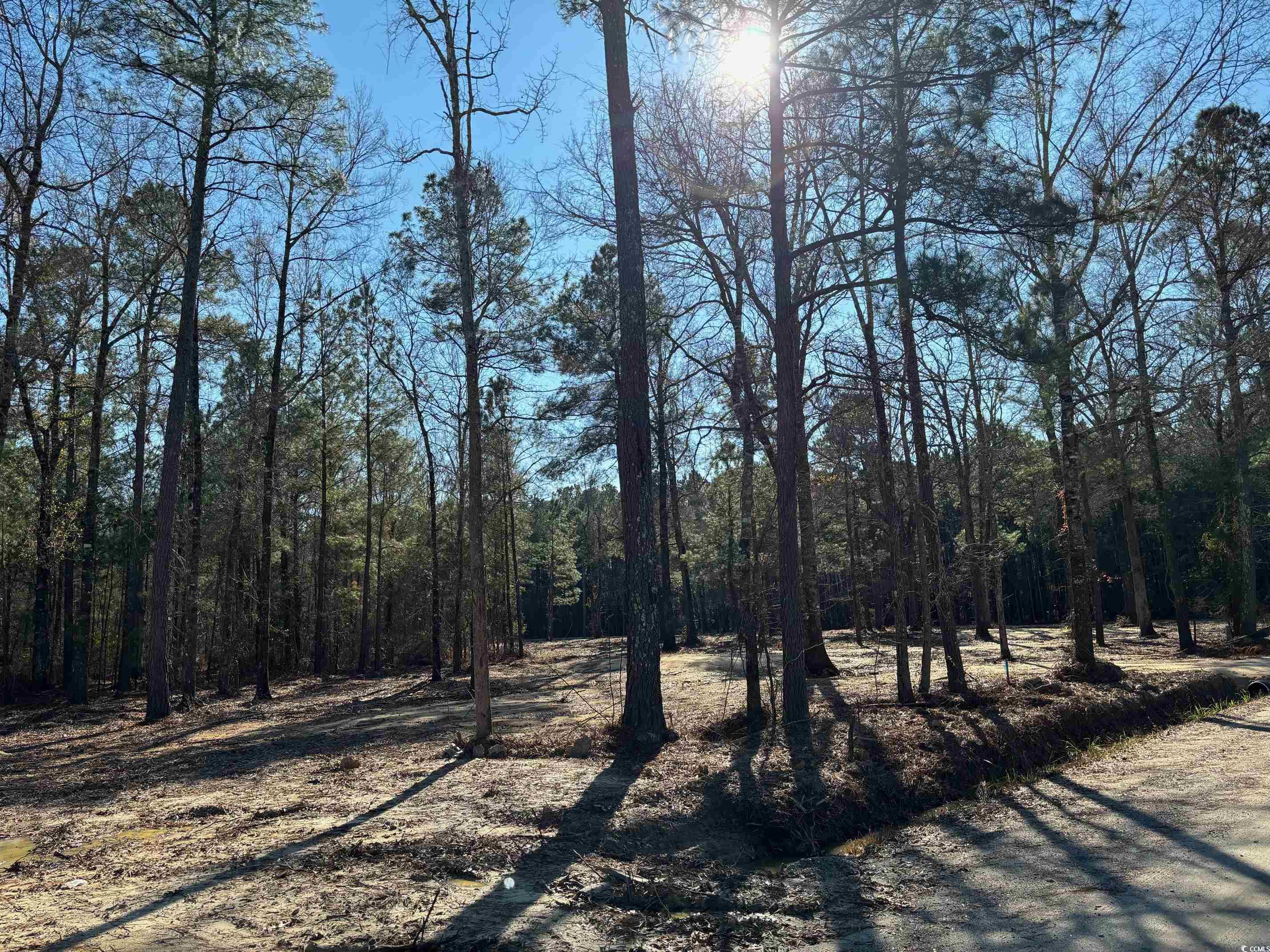 Tbd Red Breast Court Gresham, SC 29546 - Photo 2 of 3