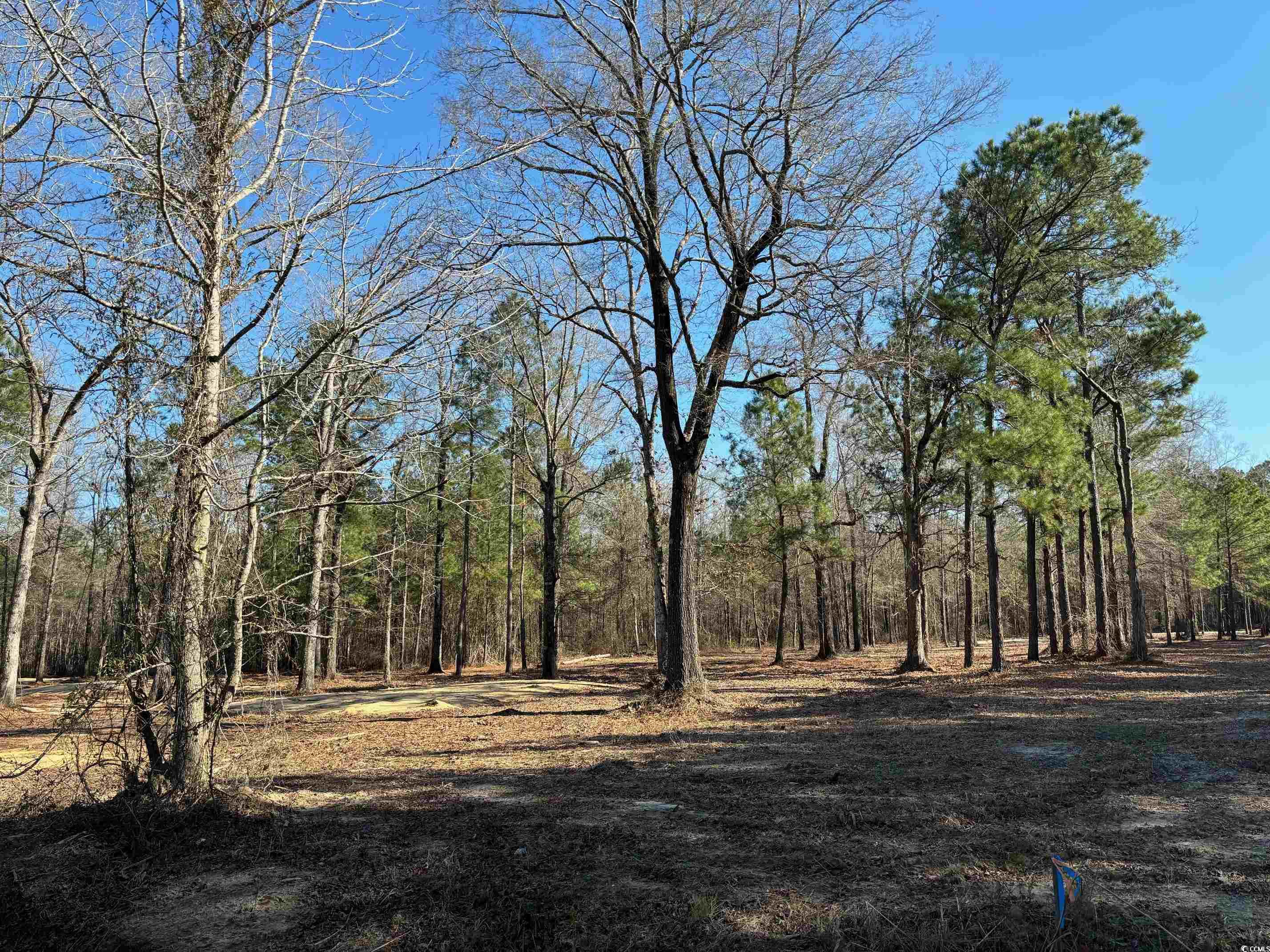 Tbd Red Breast Court Gresham, SC 29546 - Photo 3 of 3