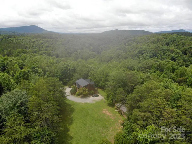 a view of a mountain from a yard