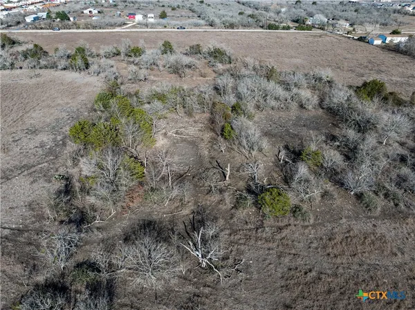a view of a dry yard with trees