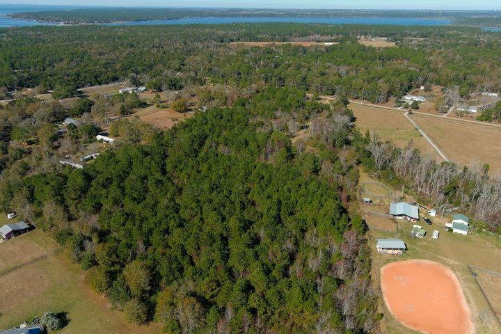 12230 Bay Road West Foley, AL 36535 - Photo 23 of 26