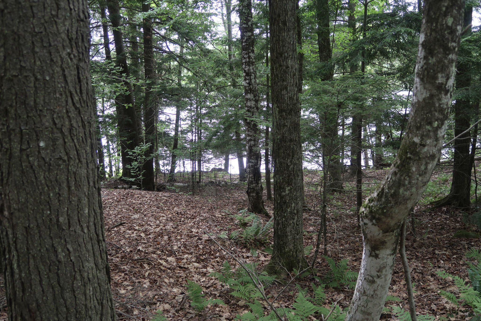 16 Lovejoy Lane Readfield, ME 04355 - Photo 10 of 63