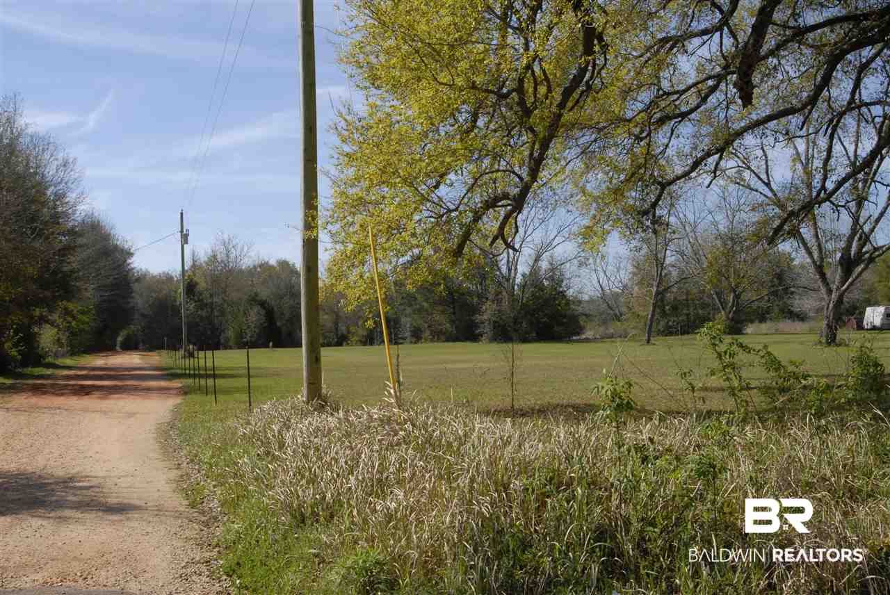 15680 Beasley Road Foley, AL 36535 - Photo 4 of 6