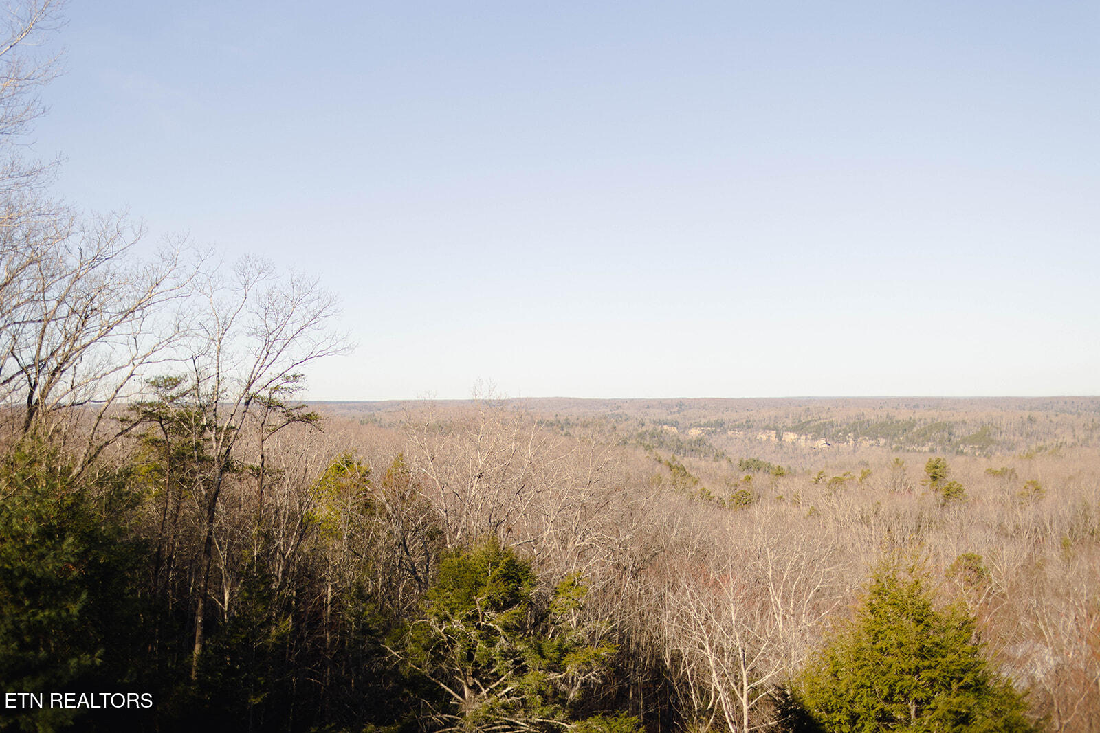 435 John J Smith Road Oneida, TN 37841 - Photo 17 of 60 1R2A0211