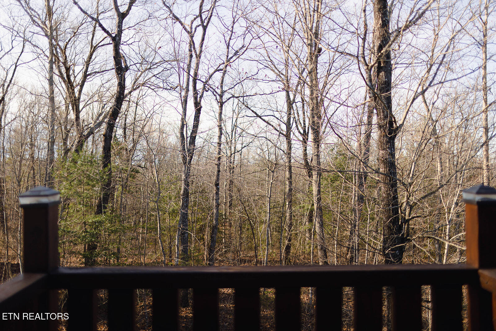 435 John J Smith Road Oneida, TN 37841 - Photo 6 of 60 1R2A0086