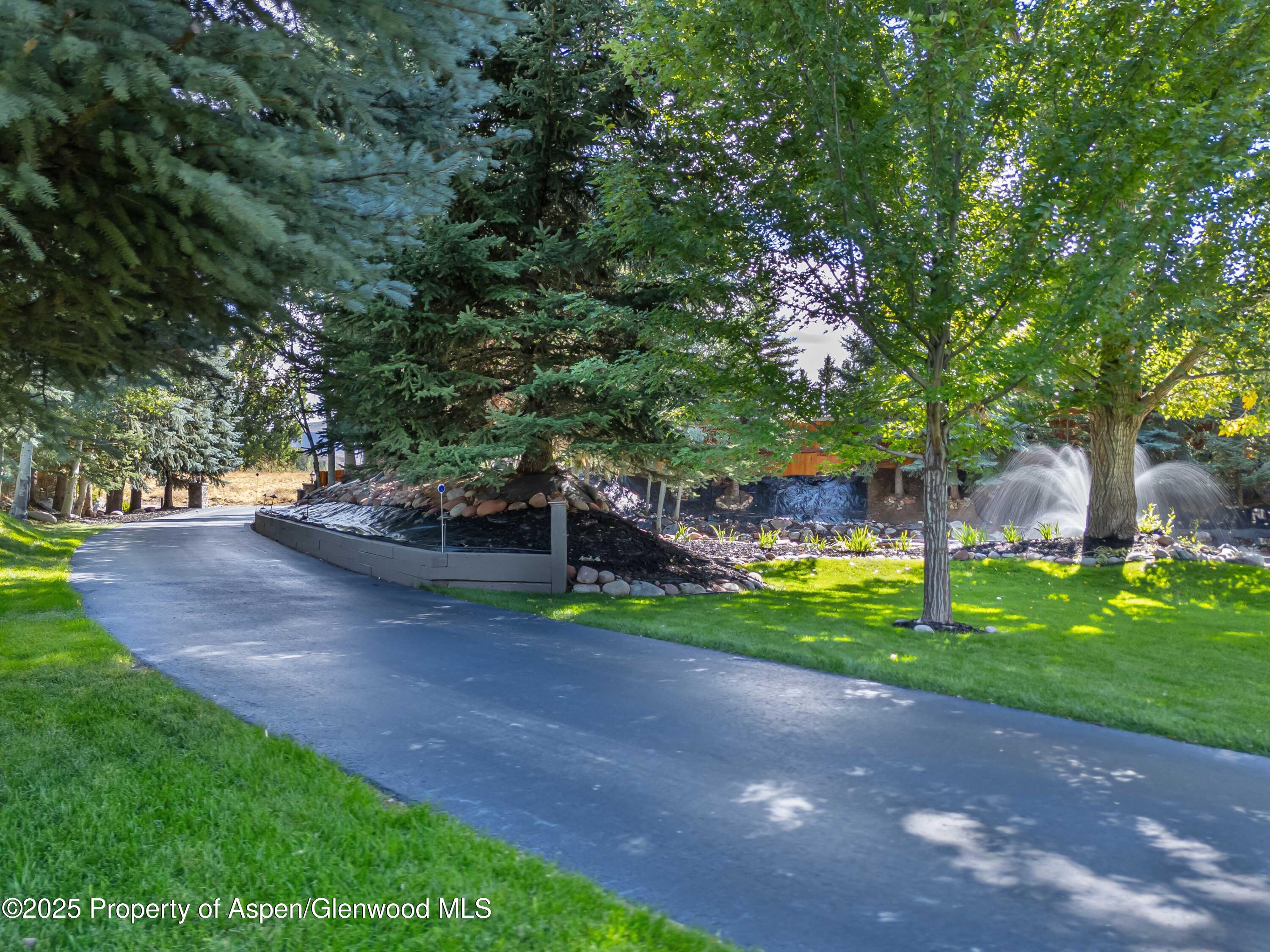 1637 Emma Spur Basalt, CO 81621 - Photo 42 of 45 a view of street with tall trees