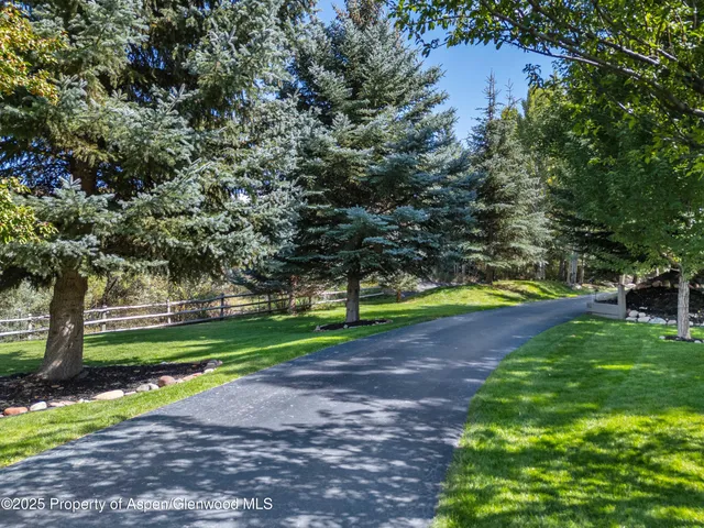 a view of a park with large trees