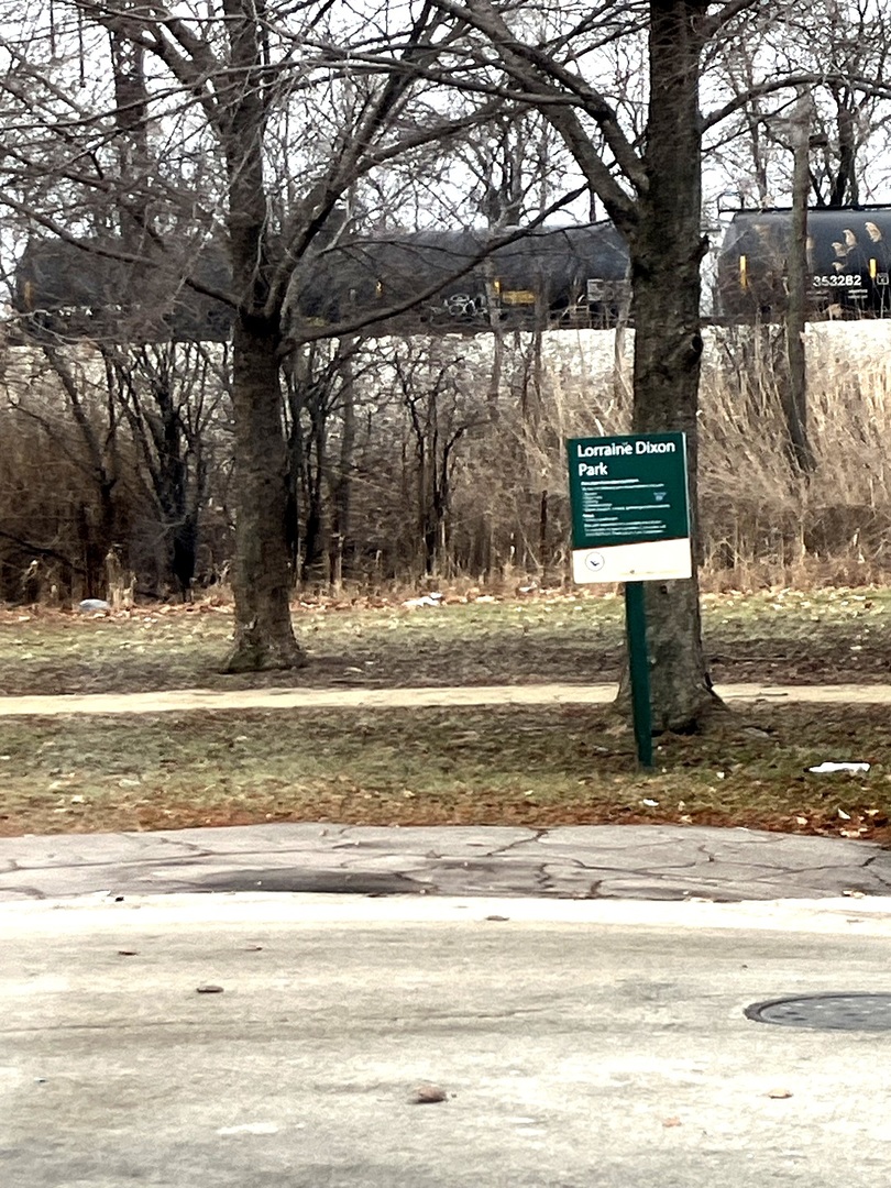 840 East 89th Street Chicago, IL 60619 - Photo 27 of 27 a view of a yard with large trees