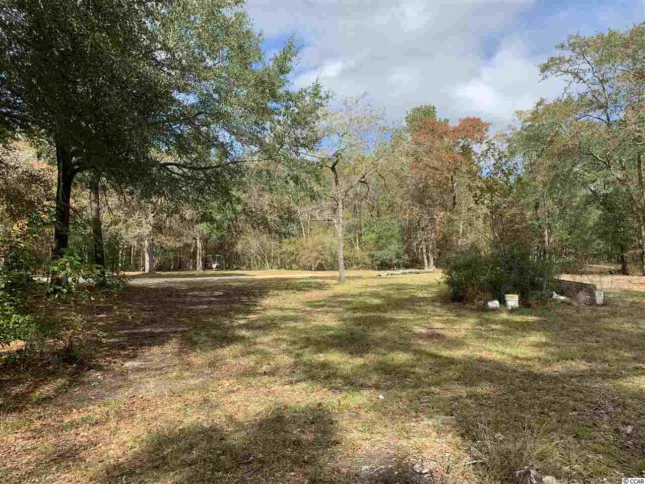 415 South River Pines Road Mullins, SC 29574 - Photo 1 of 10 Gallery Image 1