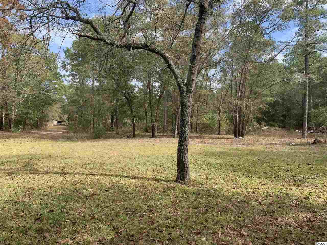 415 South River Pines Road Mullins, SC 29574 - Photo 2 of 10 Gallery Image 2