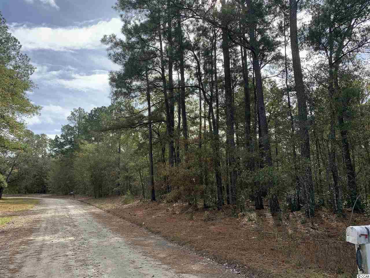 415 South River Pines Road Mullins, SC 29574 - Photo 3 of 10 Gallery Image 3