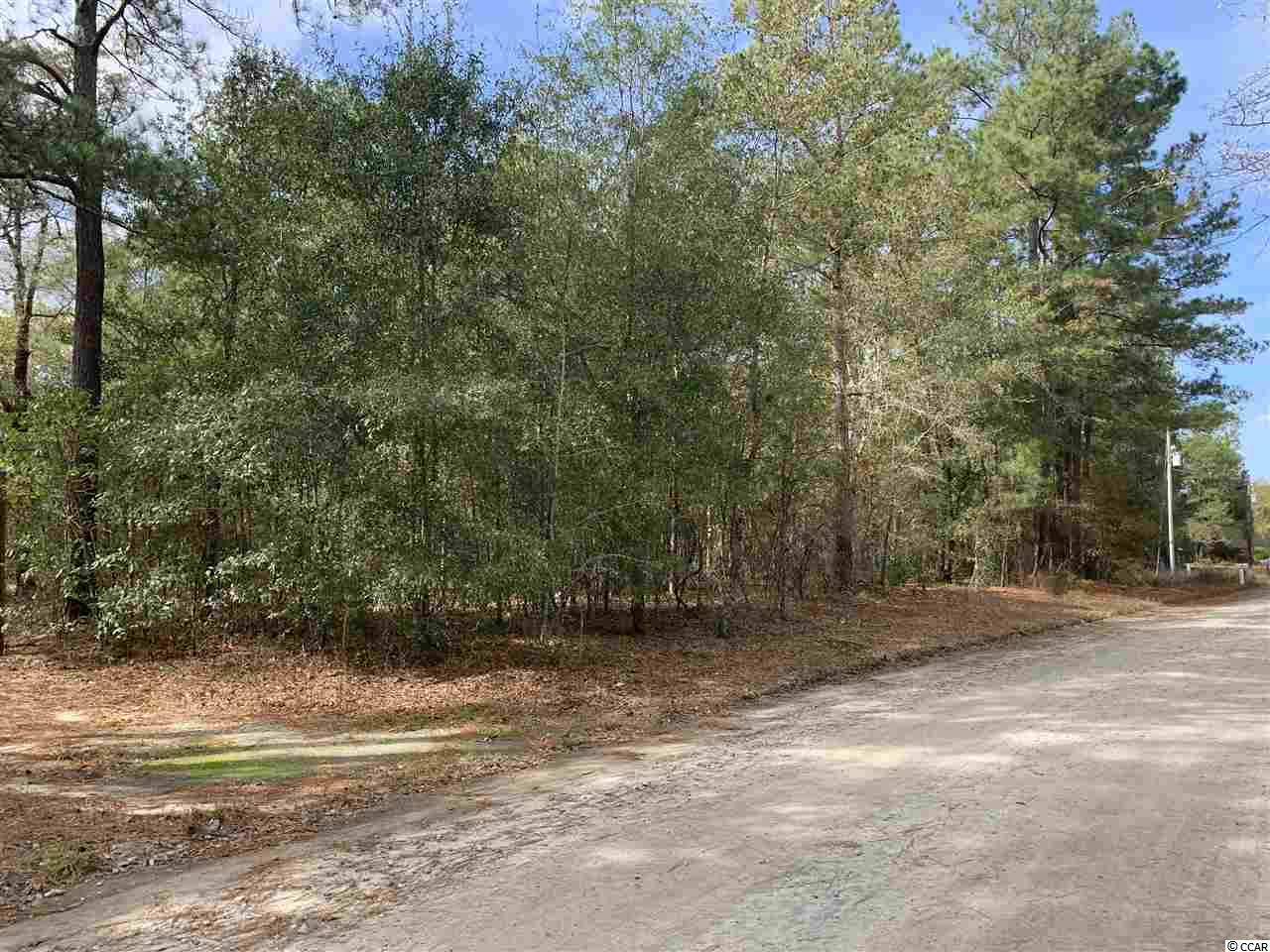 415 South River Pines Road Mullins, SC 29574 - Photo 4 of 10 Gallery Image 4