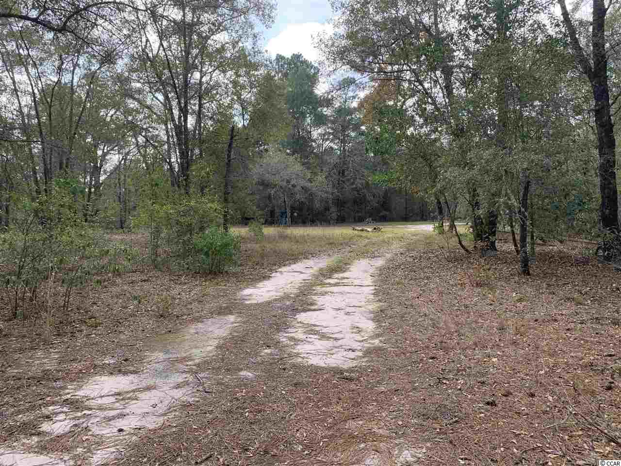 415 South River Pines Road Mullins, SC 29574 - Photo 5 of 10 Gallery Image 5