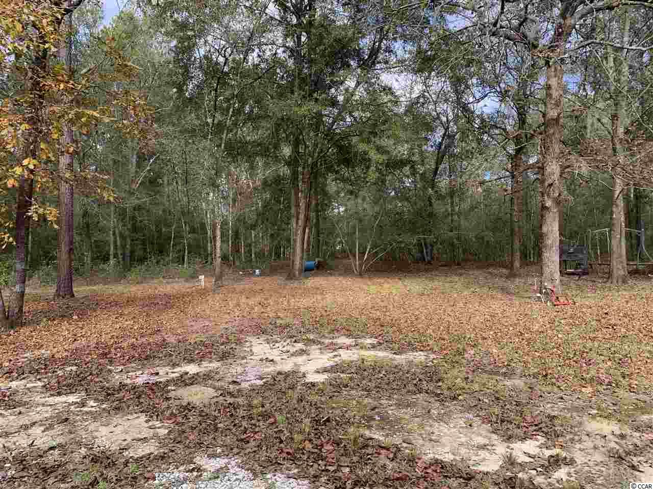 415 South River Pines Road Mullins, SC 29574 - Photo 6 of 10 Gallery Image 6