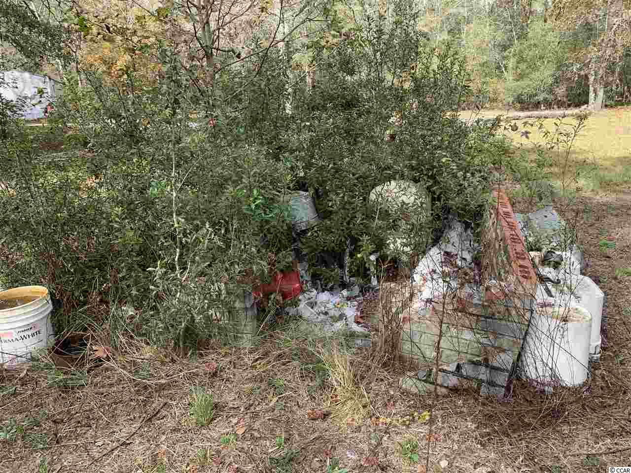 415 South River Pines Road Mullins, SC 29574 - Photo 8 of 10 Gallery Image 8