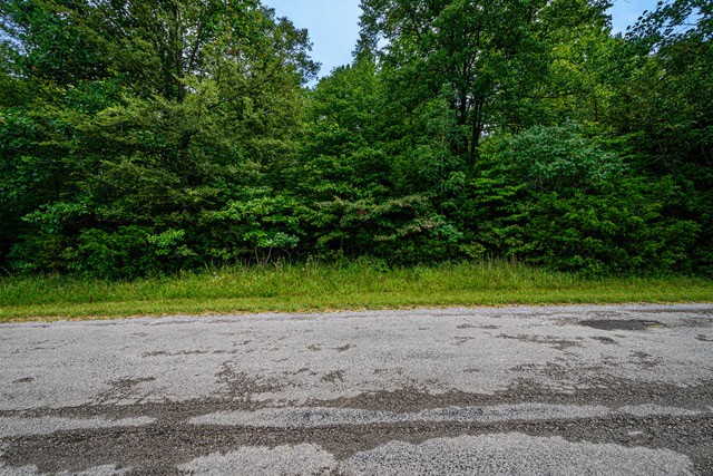 2 Rose Hill Road Pulaski, TN 38478 - Photo 1 of 15 Gallery Image 1