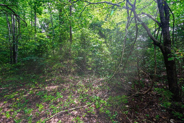 2 Rose Hill Road Pulaski, TN 38478 - Photo 7 of 15 Gallery Image 7