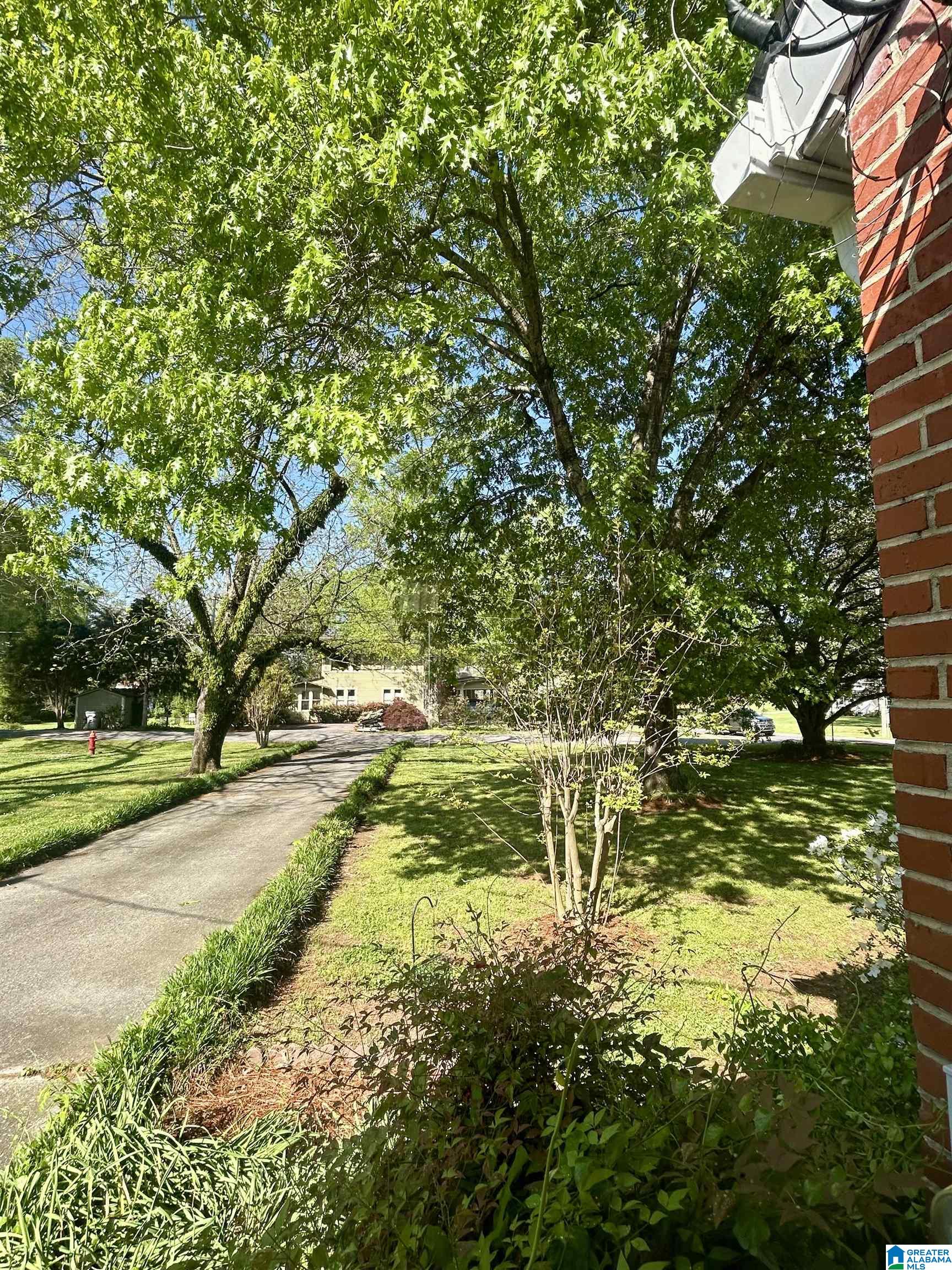 201 Ferry Road Columbiana, AL 35051 - Photo 4 of 33