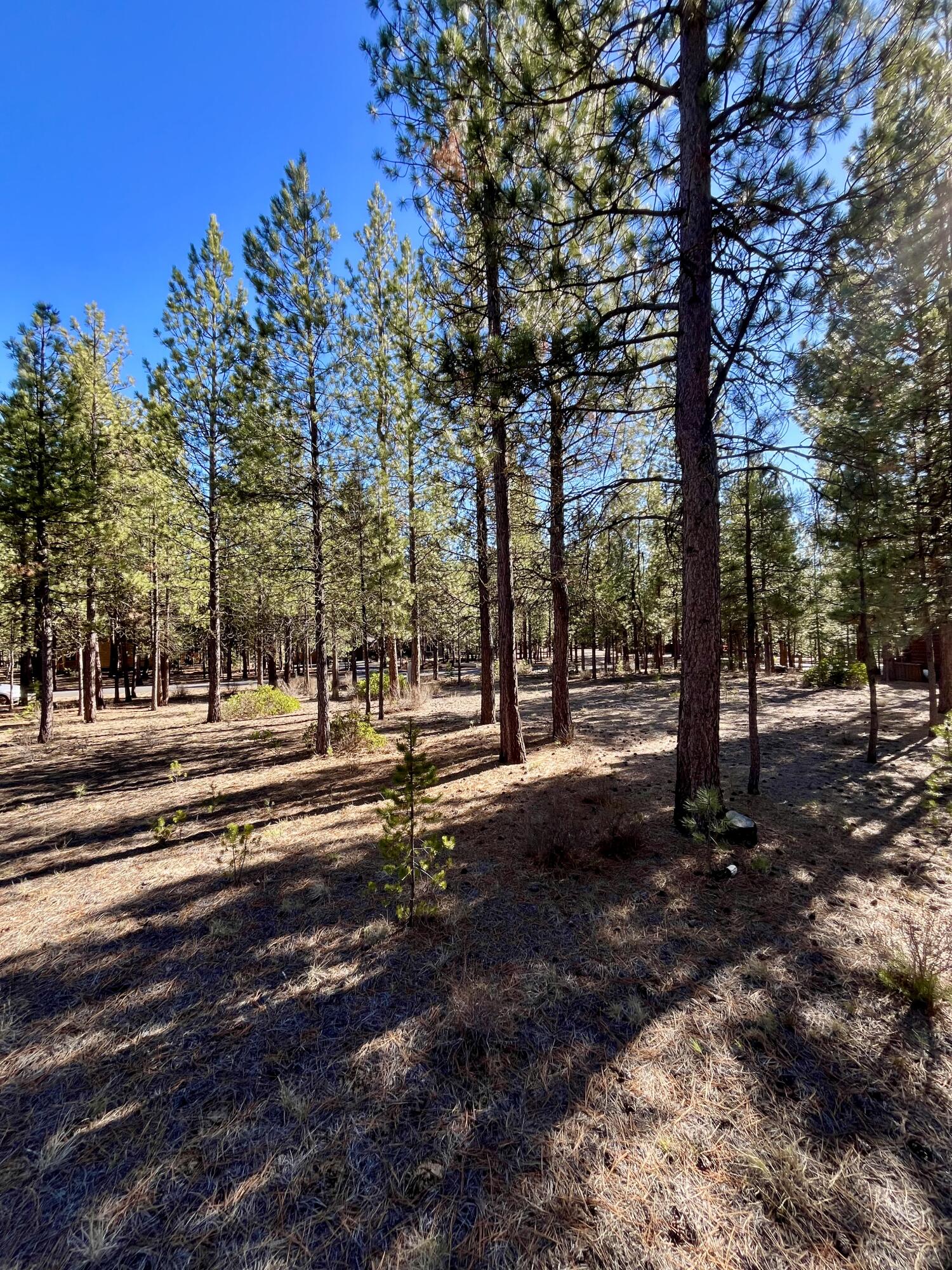 14171 Whitewater Loop La Pine, OR 97739 - Photo 3 of 16 14171-6