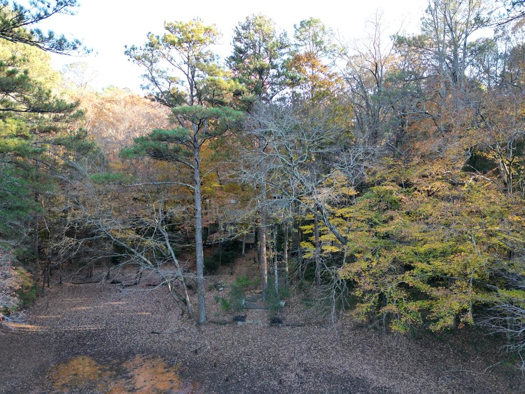 5656 Hamilton Road Pine Mountain, GA 31822 - Photo 84 of 86 Gallery Image 84
