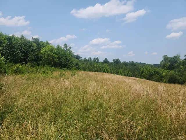 a view of lake and mountain