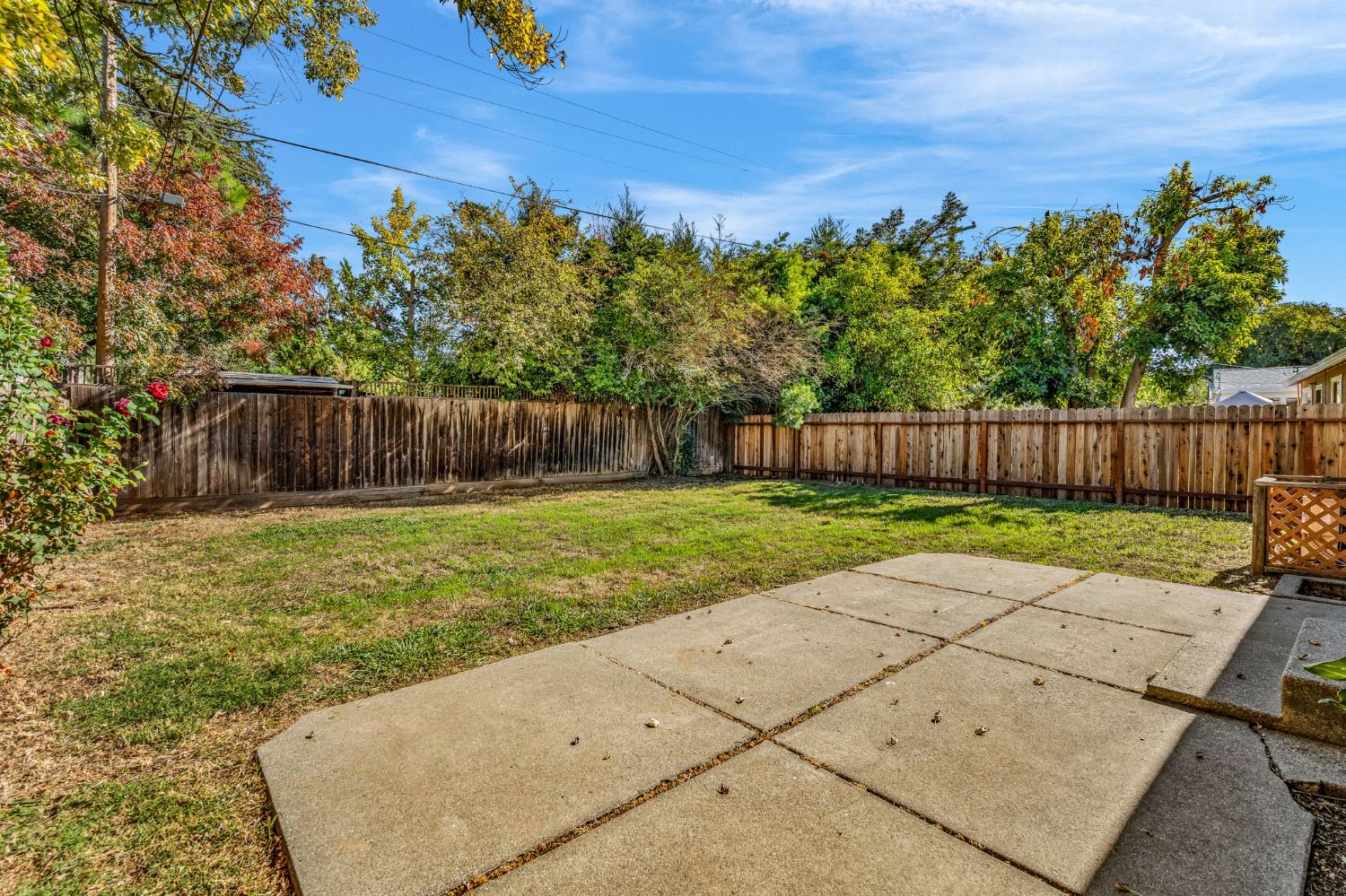 1714 Pole Line Road Davis, CA 95618 - Photo 22 of 24 a view of a backyard with large tree and wooden fence