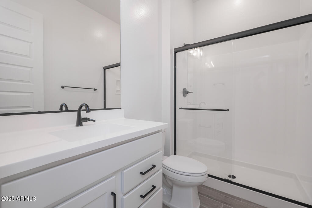 1946 East Empeltre Road San Tan Valley, AZ 85140 - Photo 16 of 19 a bathroom with a sink a toilet and shower