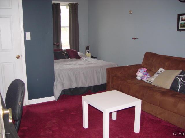 707 Carney Road Kunkletown, PA 18058 - Photo 39 of 50 Gallery Image 39