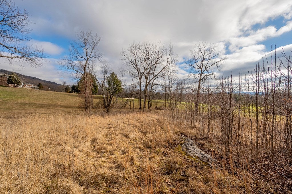2948 Big Valley Road, Unit 43 Draper, VA 24324 - Photo 11 of 36 Gallery Image 11