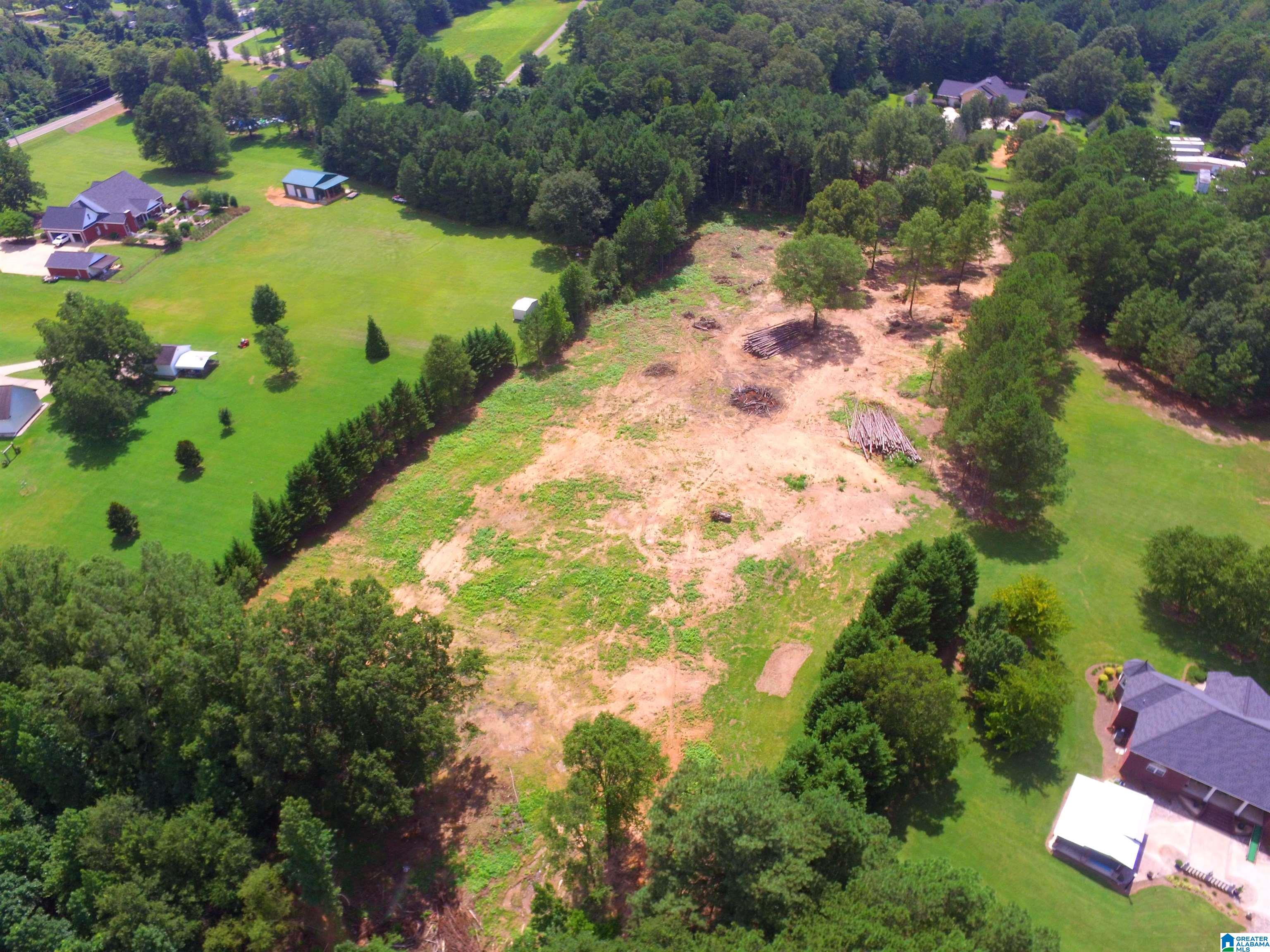 0 Lane Road, Unit 1 Oxford, AL 36203 - Photo 6 of 11
