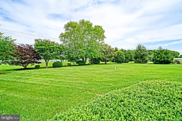 a view of a garden with trees