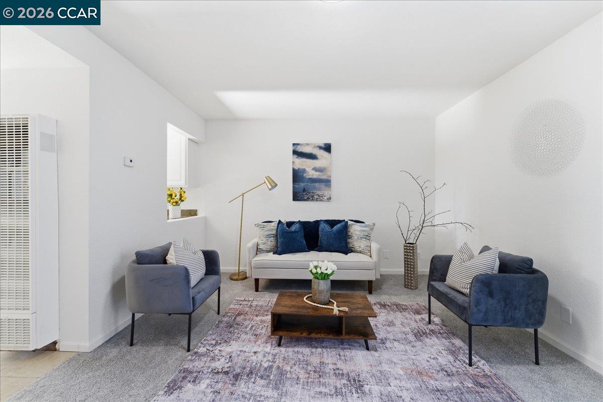 a living room with furniture and a rug