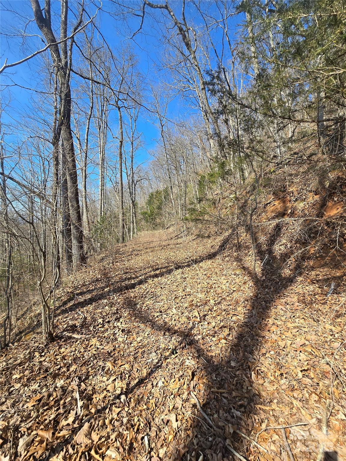 a view of a yard with wooden fence