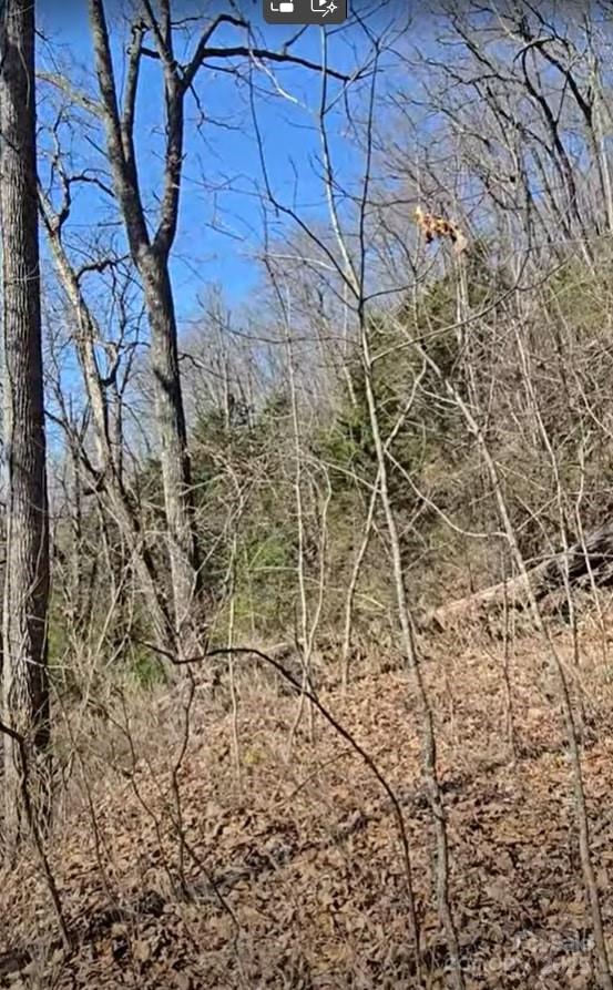 30 Black Mountain Road Cullowhee, NC 28723 - Photo 2 of 3