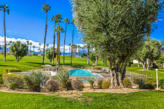 a view of a park with large trees