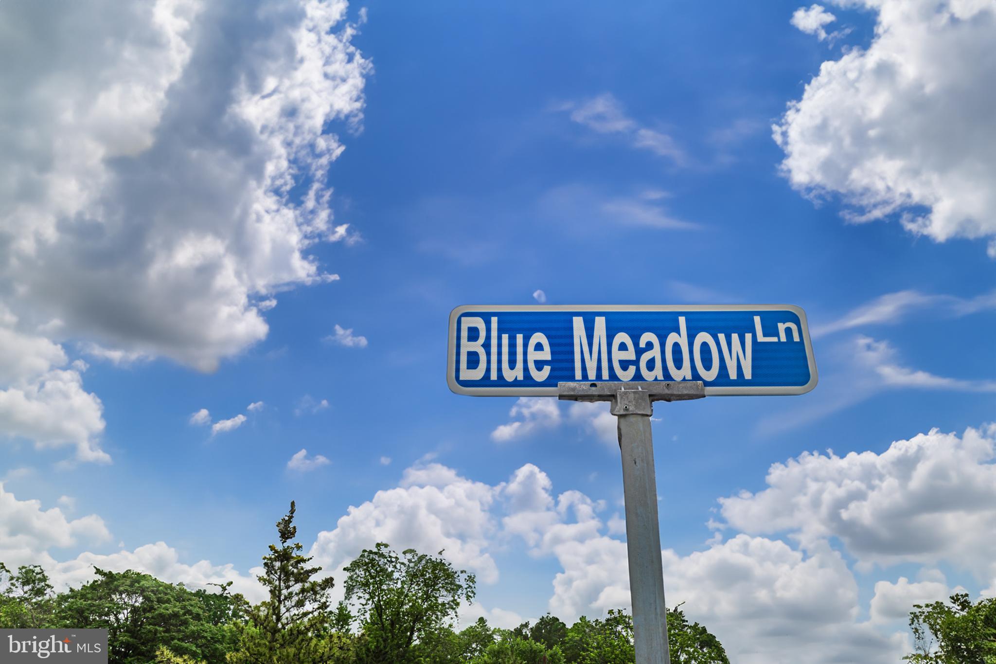 129 Blue Meadow Lane Sicklerville, NJ 08081 - Photo 10 of 25 a view of a street with lots of flower plants