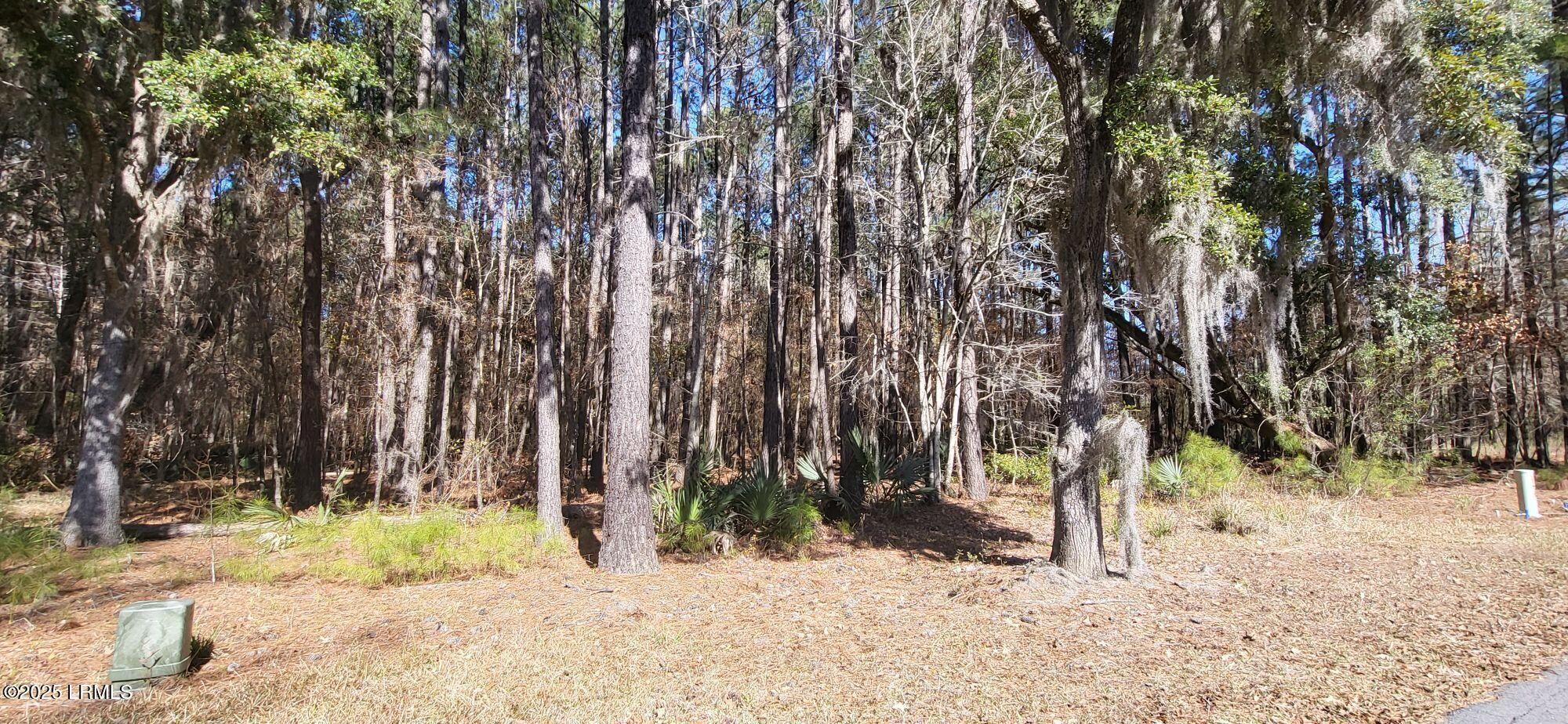 340 Twickenham Loop Yemassee, SC 29945 - Photo 10 of 10 3/3